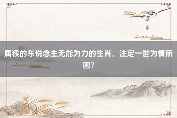 属猴的东说念主无能为力的生肖，注定一世为情所困？